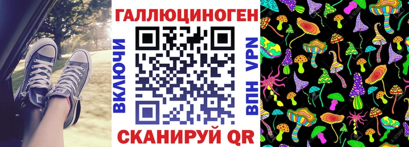 darknet Telegram Богданович Псилоцибиновые грибы GOLDEN TEACHER как найти наркотики