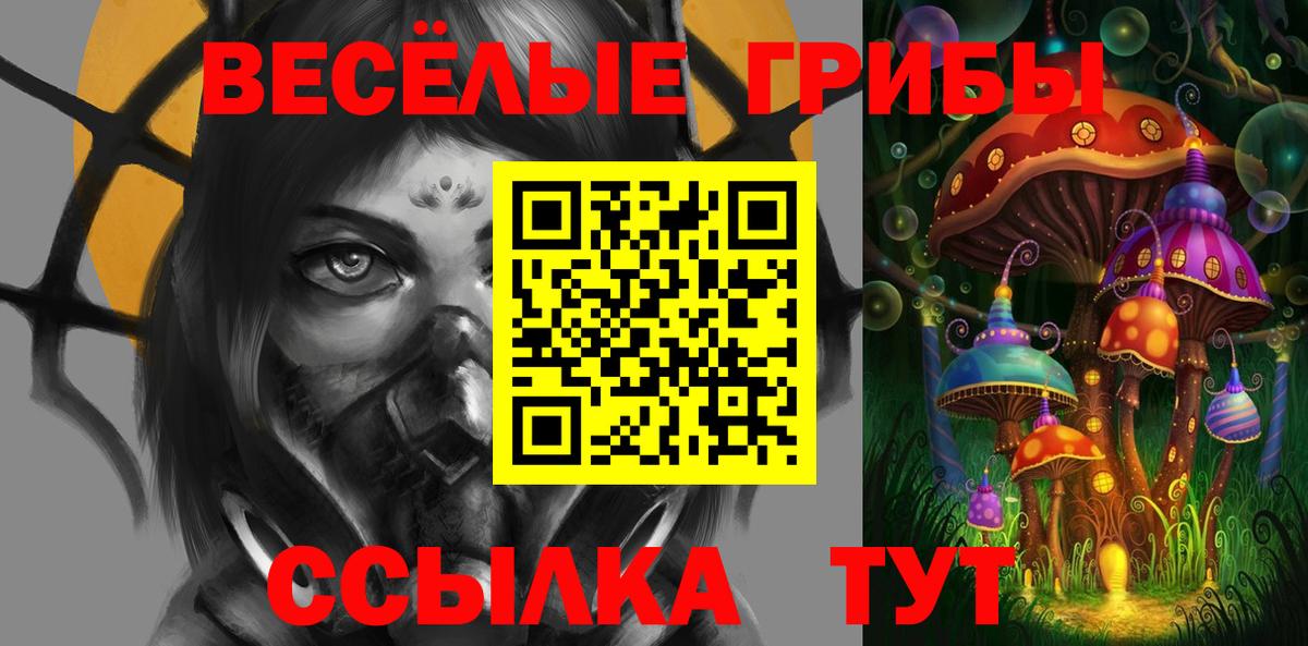 Псилоцибиновые грибы Cubensis Богданович