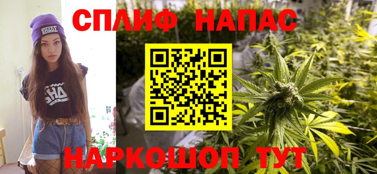Богданович  Марихуана планчик  Марихуана индика  Вход с VPN  МАРИХУАНА тримм 